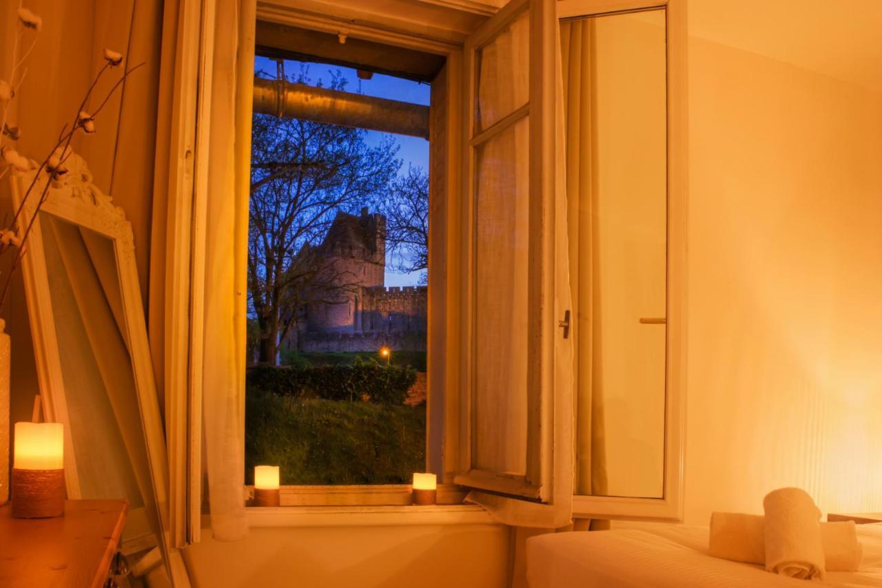 카르카손 Le Cocon De La Cite - Parking Au Pied De La Cite 아파트 외부 사진